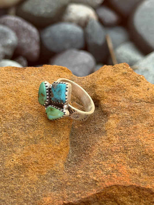 Sonoran Mountain and White Water Ring